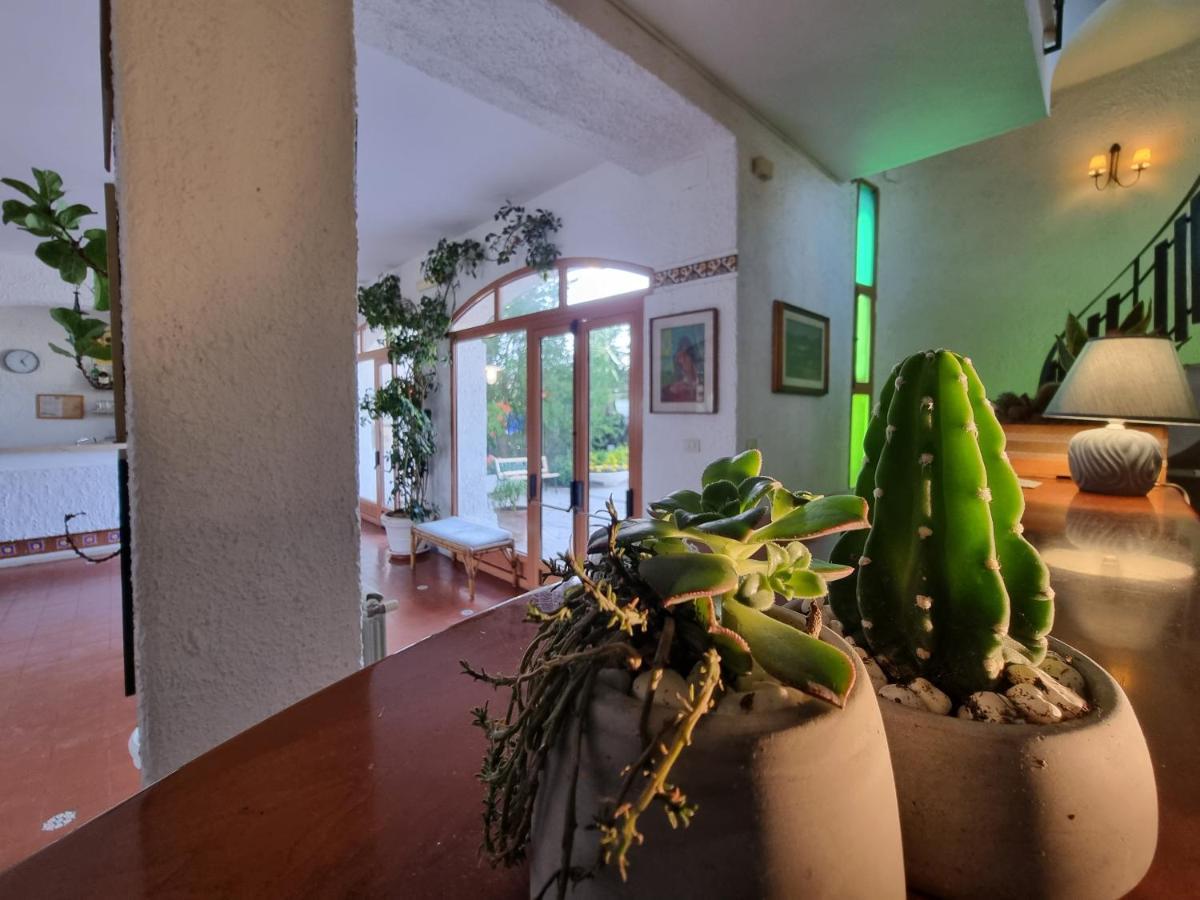Hotel Portofina Santa Marinella